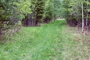 1622 82nd Ave NW, Williams, MN 56686 - Photo 99