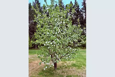 1622 82nd Avenue NW, Williams, MN 56686 - Photo 47