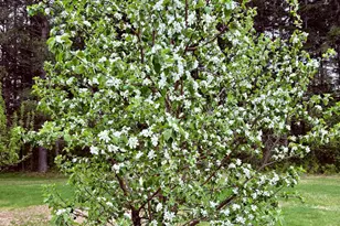 1622 82nd Ave NW, Williams, MN 56686 - Photo 47