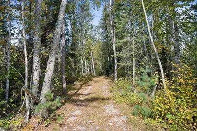 46771 Smith Lake Road, Marcell, MN 56657 - Photo 47