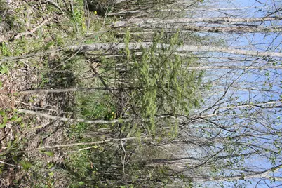 2668 M T Nelson Road, Barnum, MN 55707 - Photo 15