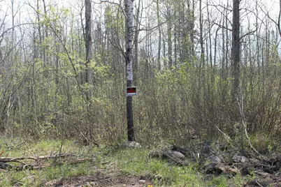 2668 M T Nelson Road, Barnum, MN 55707 - Photo 21