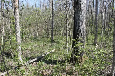 2668 M T Nelson Road, Barnum, MN 55707 - Photo 13