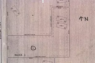 25585 Delmar Ave, New Prague, MN 56071 - Photo 1