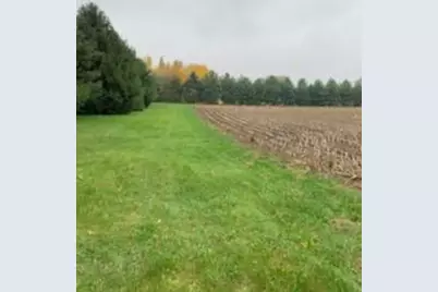 Tbd Harrison Avenue NE, Racine, MN 55967 - Photo 5