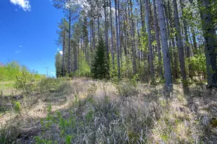 Xxxx Minkkinen Rd, Kettle River, MN 55757 - Photo 1