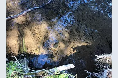 8586 W Graves Lake Road NE, Remer, MN 56672 - Photo 17