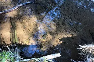 8586 W Graves Lake Rd NE, Remer, MN 56672 - Photo 17