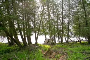 8586 W Graves Lake Rd NE, Remer, MN 56672 - Photo 13