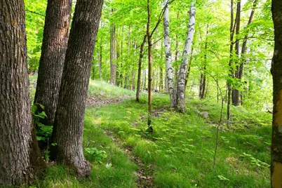 8586 W Graves Lake Road NE, Remer, MN 56672 - Photo 11