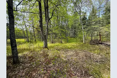 72Xx E Central Lakes Road Lot F, Eveleth, MN 55734 - Photo 17