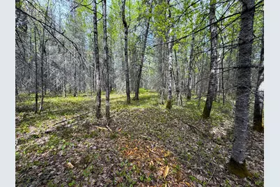 72Xx E Central Lakes Road Lot F, Eveleth, MN 55734 - Photo 19