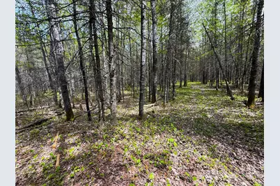 72Xx E Central Lakes Road Lot G, Eveleth, MN 55734 - Photo 13