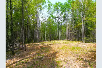 72Xx E Central Lakes Road Lot G, Eveleth, MN 55734 - Photo 1