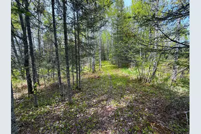 72Xx E Central Lakes Road Lot G, Eveleth, MN 55734 - Photo 17