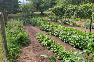 63965 Co Hwy H, Delta, WI 54847 - Photo 5