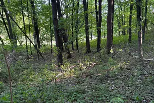 Xxxx Jalger Ave SE, Buffalo, MN 55313 - Photo 5