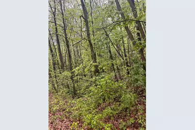 Tbd Flintstone, Cushing Township, MN 56443 - Photo 3