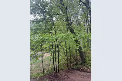 Tbd Powder Horn, Cushing Township, MN 56443 - Photo 1