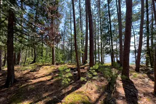 2928 Waters Is, Morse Twp, MN 55731 - Photo 41