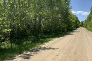 Tbd 63rd Ave N, Walker, MN 56484 - Photo 1