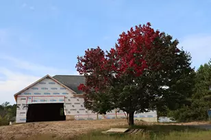 33006 Hilary Cir, Cambridge, MN 55008 - Photo 13