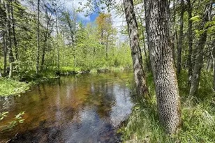 51791 Riverside Ln, Dell Grove Township, MN 55072 - Photo 1