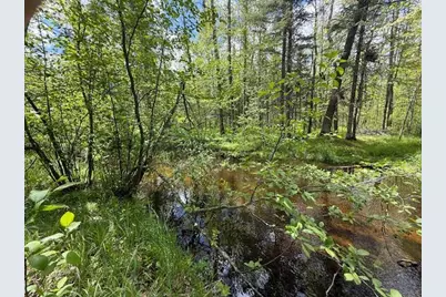 51791 Riverside Lane, Dell Grove Township, MN 55072 - Photo 39