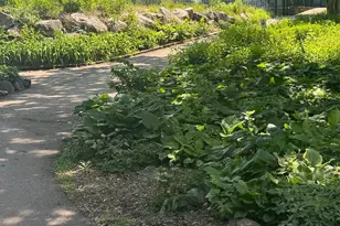 11594 Scotch Pine Ct, Eden Prairie, MN 55344 - Photo 41