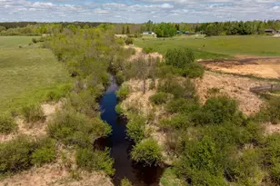 36037 678th St, Hill Lake Twp, MN 55748 - Photo 7