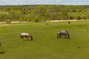 36037 678th St, Hill Lake Twp, MN 55748 - Photo 41