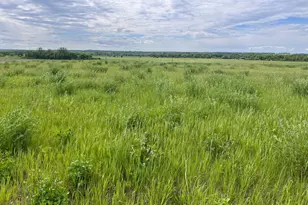 31099 El Mar Circle, Paynesville Township, MN 56362 - Photo 1