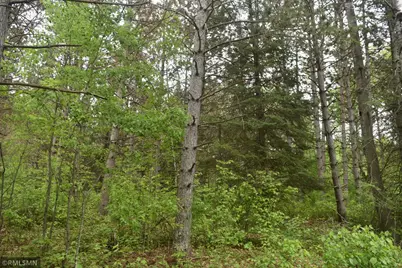 44863 State Highway 48, Hinckley, MN 55037 - Photo 3