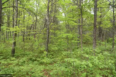 44863 State Highway 48, Hinckley, MN 55037 - Photo 7