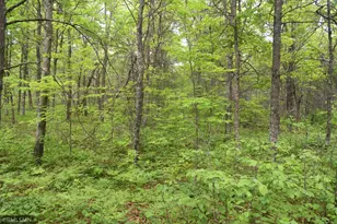 44863 State Hwy 48, Hinckley, MN 55037 - Photo 7