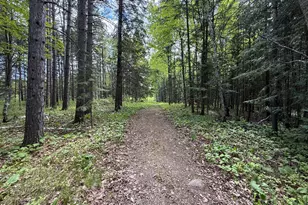 11966 Lindquist Rd, Hibbing, MN 55746 - Photo 21