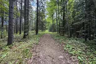 11966 Lindquist Rd, Hibbing, MN 55746 - Photo 25