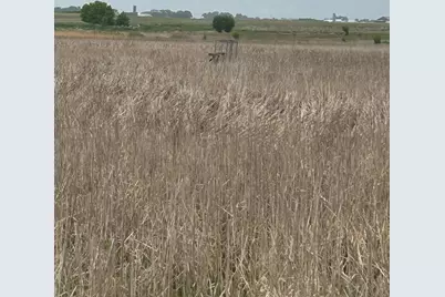 975 175 Avenue SE, Kerkhoven, MN 56252 - Photo 27