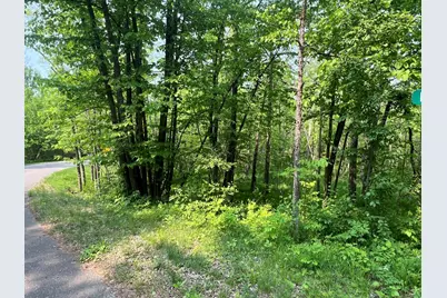Tbd Dettbarn Rd., Nisswa, MN 56468 - Photo 3
