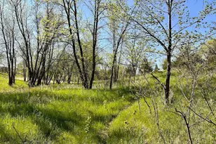 Xxx Us-71, Little Sauk, MN 56378 - Photo 1