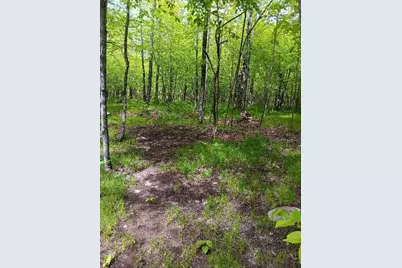 N10095 Woodland Lane, Phillips, WI 54555 - Photo 7