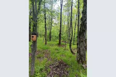 N10095 Woodland Lane, Phillips, WI 54555 - Photo 3