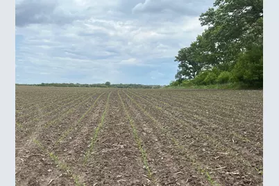 Tbd Highway 56, Le Roy, MN 55951 - Photo 17