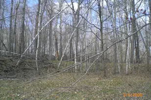 Lot 211 Catskill Circle, Breezy Point, MN 56472 - Photo 1