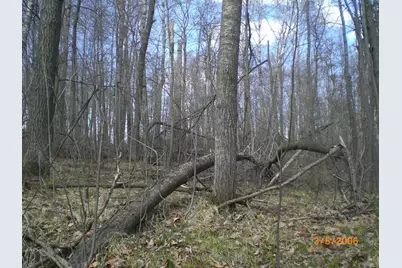 Lot 211 Catskill Circle, Breezy Point, MN 56472 - Photo 3