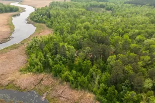 21341 County 50, Park Rapids, MN 56470 - Photo 29