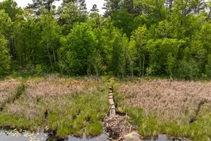 21341 County 50, Park Rapids, MN 56470 - Photo 27