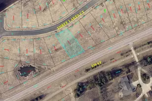 907 Three Lakes Ct, Madison Lake, MN 56063 - Photo 1