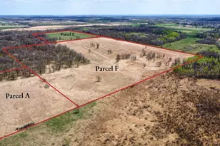 Parcel F 61st Ave SW, Motley, MN 56466 - Photo 1