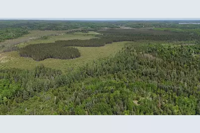 Tbd 11.85 Bessette Road, Orr, MN 55771 - Photo 43